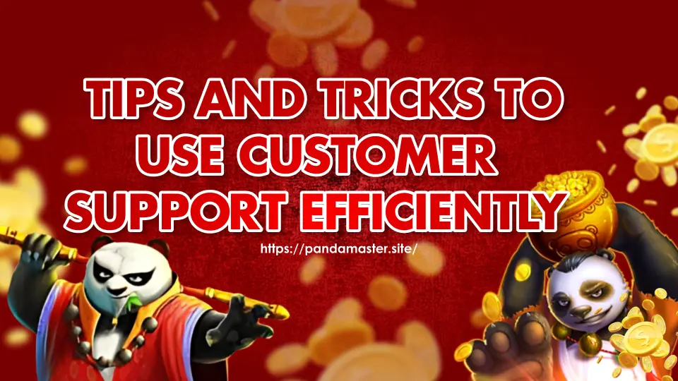  Tips-and-Tricks-to-Use-Customer-Support-Efficiently