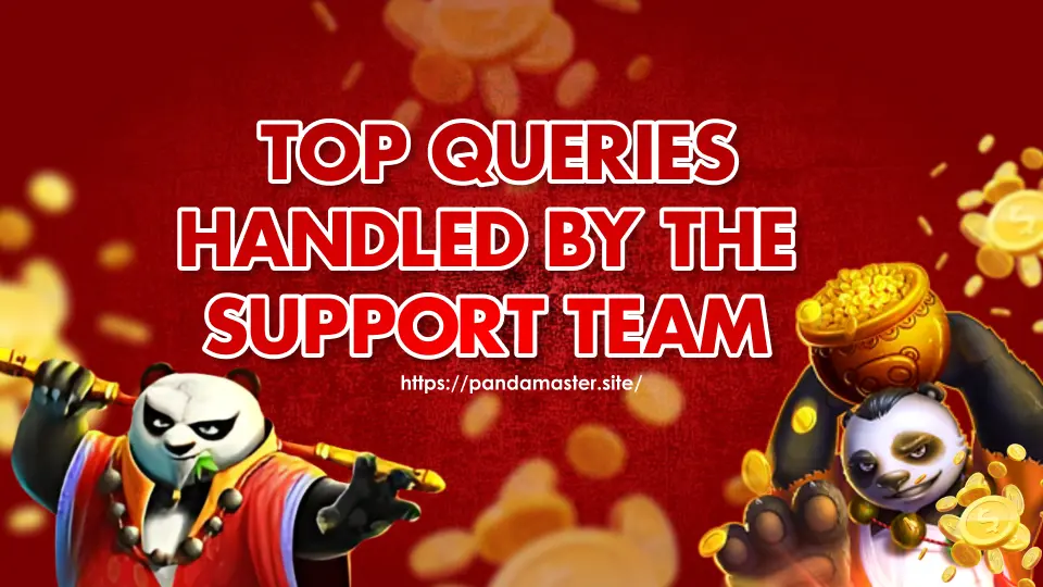  Top=Queries-Handled-by-the-Support-Team